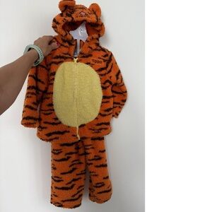 Tiger Hoodie & Pants / Kids Halloween Costume